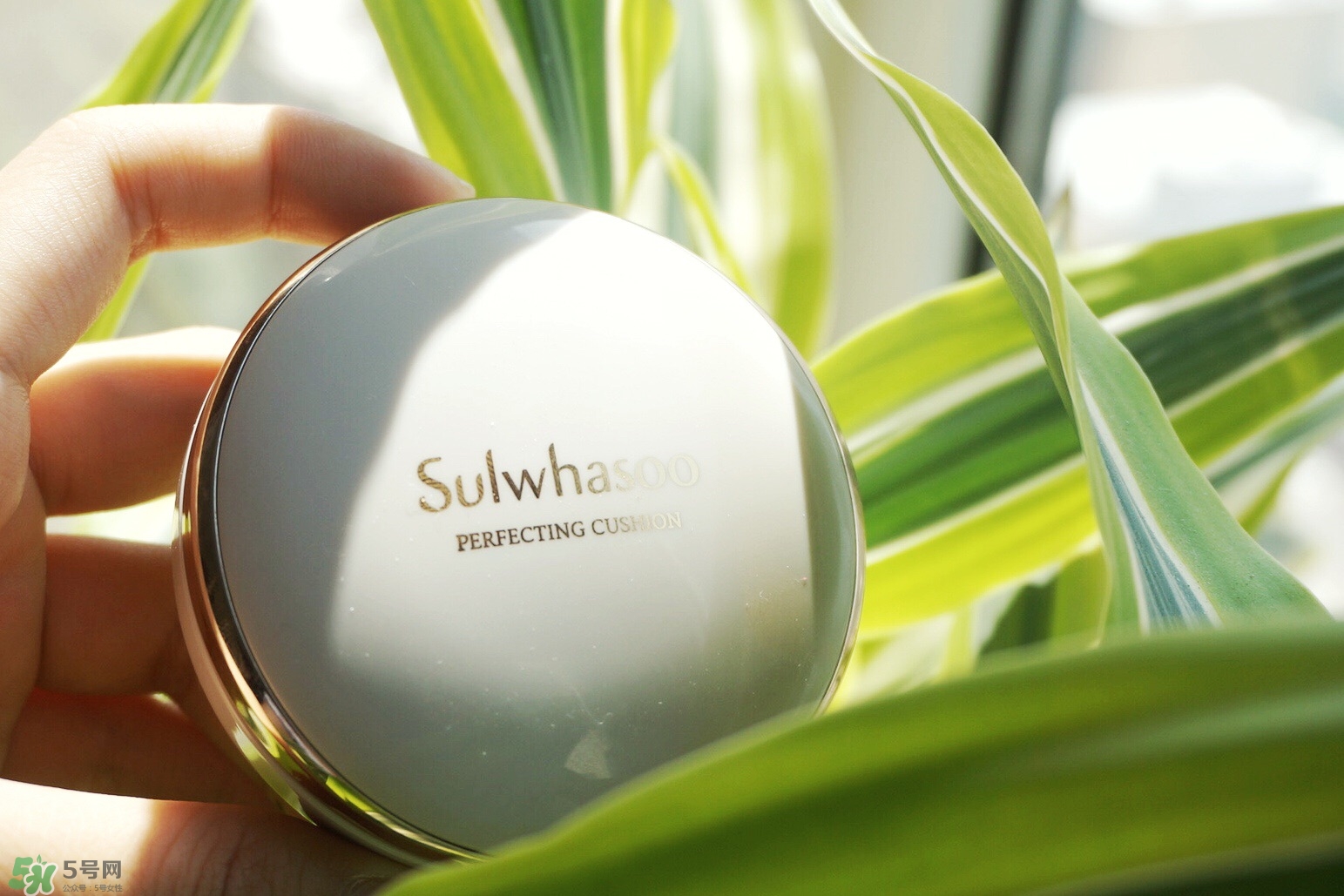 ն����Ӱ��ô�� ն�е�ɫ��Ӱ����